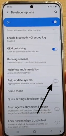 Disable auto update system in Galaxy S20